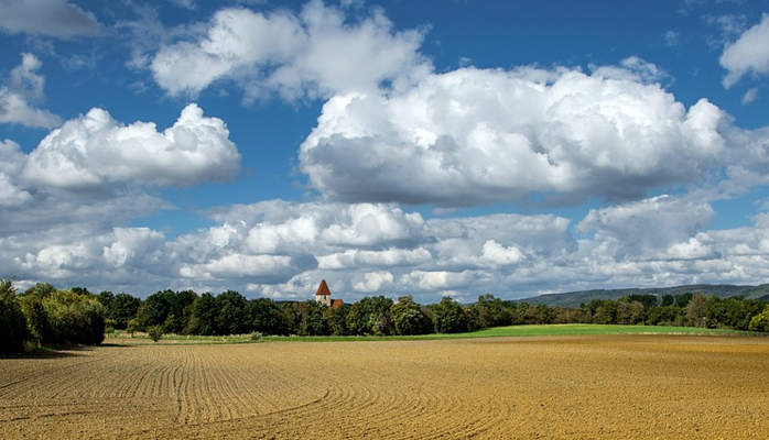 Une nouvelle loi relative au contrôle des sociétés agricoles possédant du foncier à vocation agricole en France va entrer en vigueur entre le 1 juillet et le 1 novembre 2022.