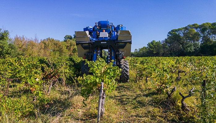 Importation de produits vitivinicole : dérogation à l’obligation du registre