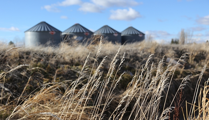 Une remise de fermage est possible en cas d’événements climatiques