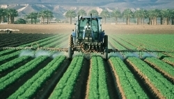 Une aide pour une installation agricole sereine