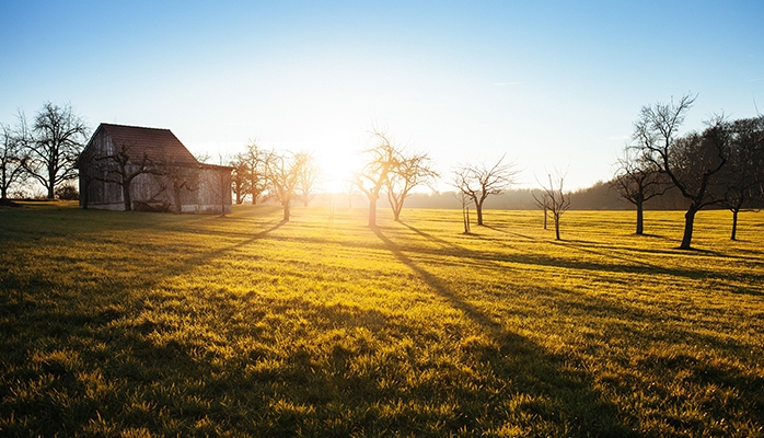 Agriculture bio : le non-respect du bail justifie l'expulsion du fermier