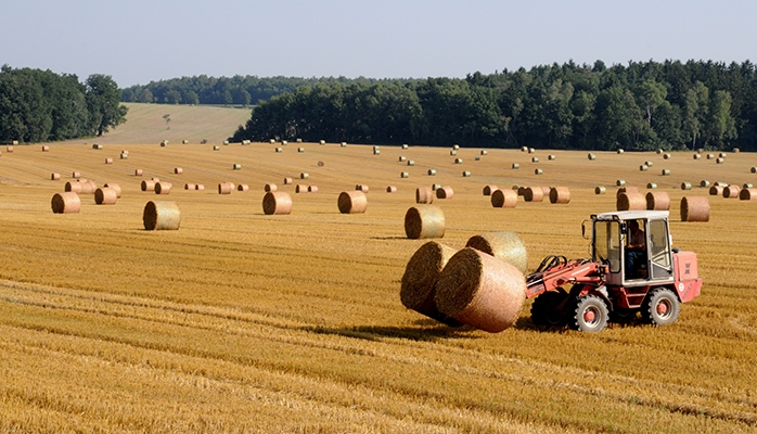 Le statut du fermage n'autorise pas le fermier à diversifier ses activités