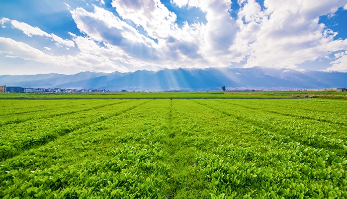 Les pratiques des agriculteurs peuvent avoir un effet positif sur l’environnement