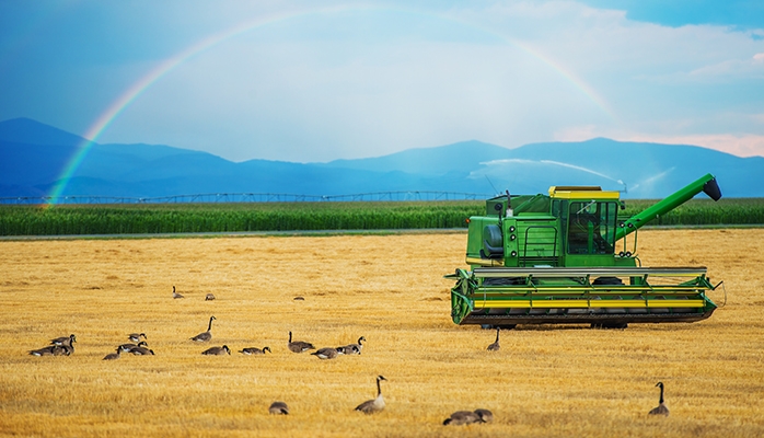 Pas de modalités dérogatoires de paiement des acomptes de revenus fonciers issus de fermages agricoles