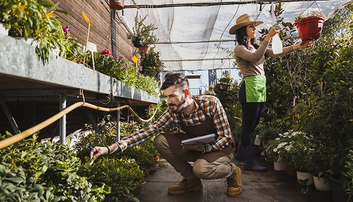 L’agriculture urbaine face à la réglementation