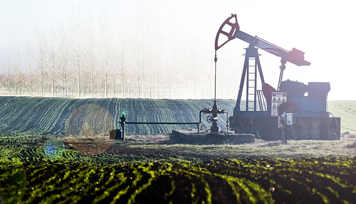 Les coopératives s'orientent vers la vente plutôt que le conseil