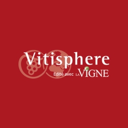 Entreprises / gens du vin -Entreprises- : 3 millions d’euros de fraude aux vins de Bordeaux